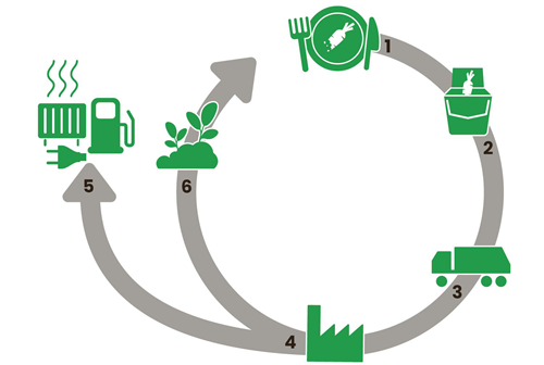Billedet viser et kredsløb for hvad der sker med madaffald. Trin 1 viser at man skal minimere madspild, trin 2 viser at man skal komme madaffald i den grønne køkkenspand, trin 3 viser at madaffaldet køres til forbehandling og omdannes til flydende pulp, trin 4 viser at pulpen bliver behandlet på et biogasanlæg, trin 5 viser at biogas kan erstatte andre energikilder og trin 6 viser at den afgassede miomasse bruges som gødning i landbruget.
